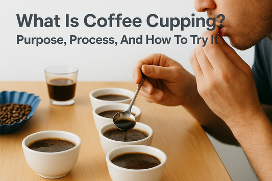 What Is Coffee Cupping? Purpose, Process, And How To Try It